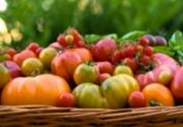 harvest social