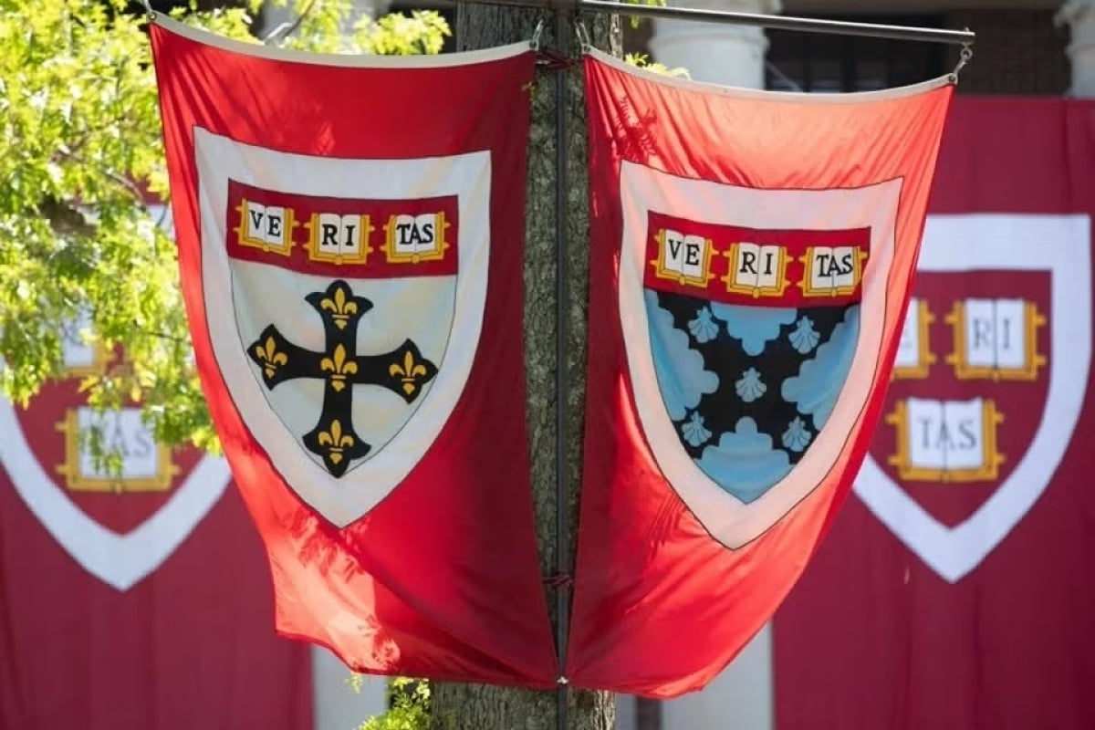 Harvard School flags in the Yard