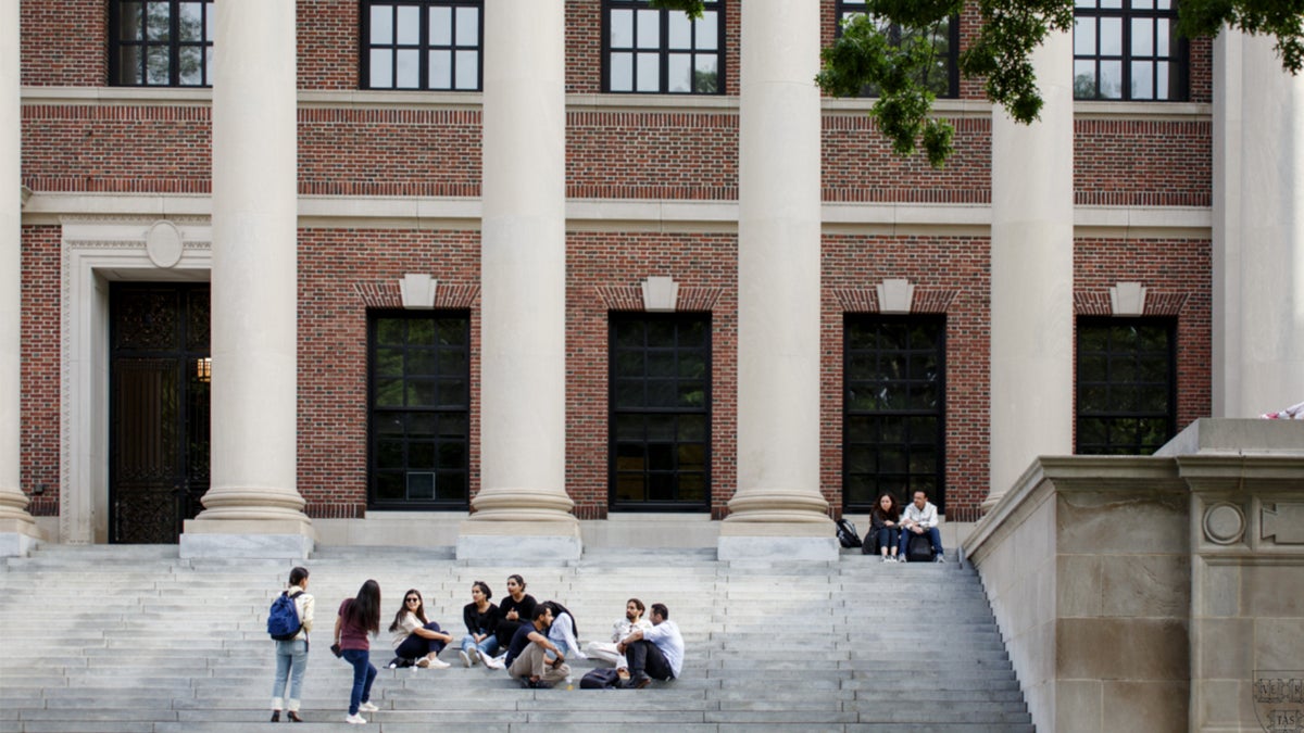 Widener Steps