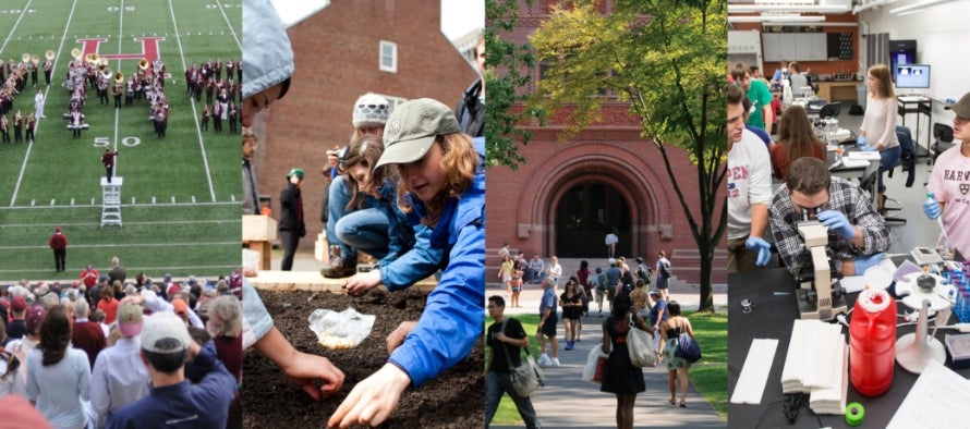 From left: Fans enjoy a football game at Harvard Stadium; students excavate historical artifacts from Harvard Yard; students walk across Harvard Yard on a spring day; and students work at a microscope inside a science lab