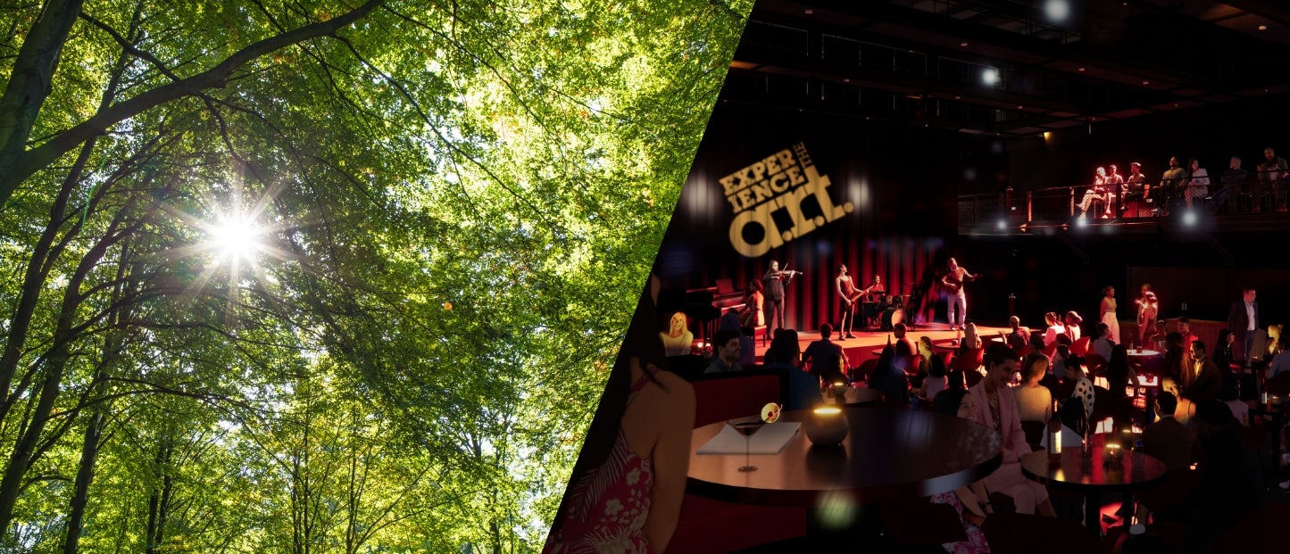 A split image with sun shining through trees on the left and an image of a stage at the A.R.T with musicians playing in front of a curtain reading "Experience the A.R.T." on the right