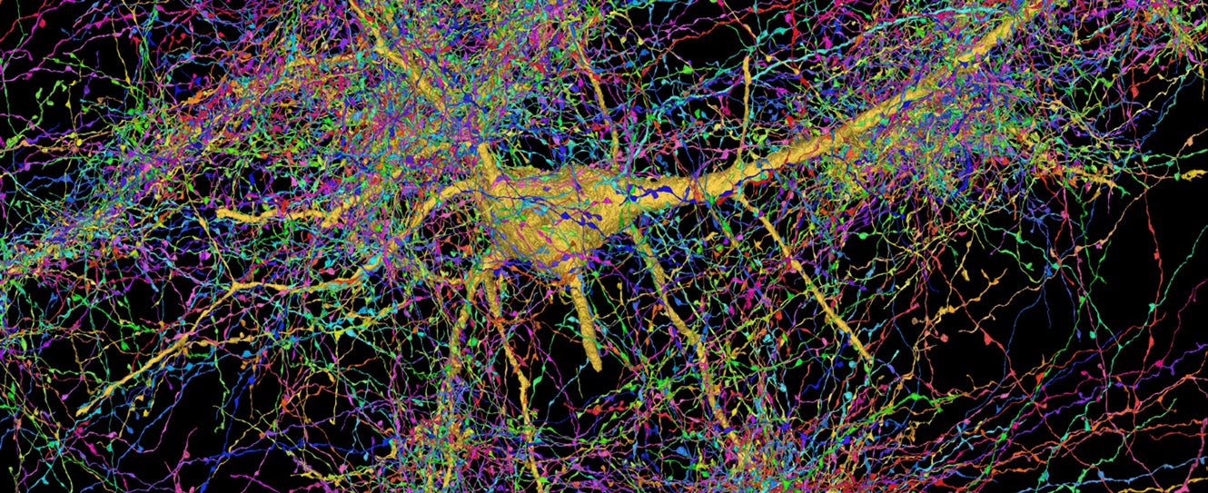 Colorful visualization of a neural network