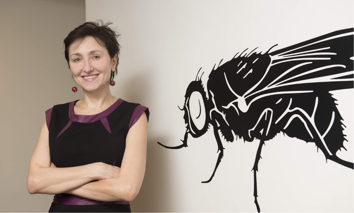 Dragana Rogulja stands next to a large black-and-white illustration of a fly