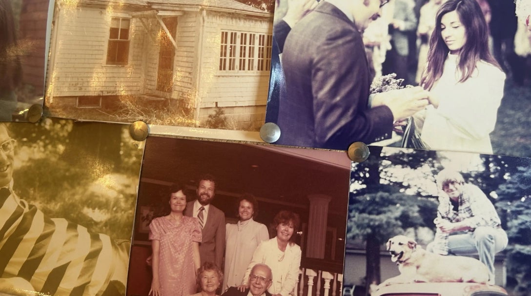 collage of family photos in different shades