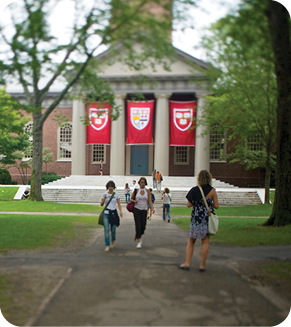 Harvard Yard in Summer