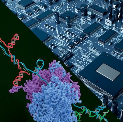 Image of synthetic RNA and a computer circuit