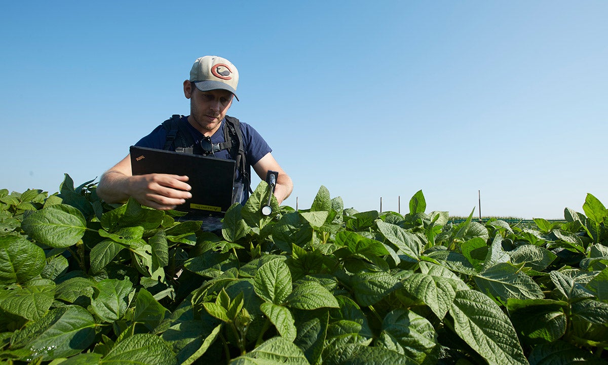 An environmental health student takes carbon dioxide measurements in a field of soy plants