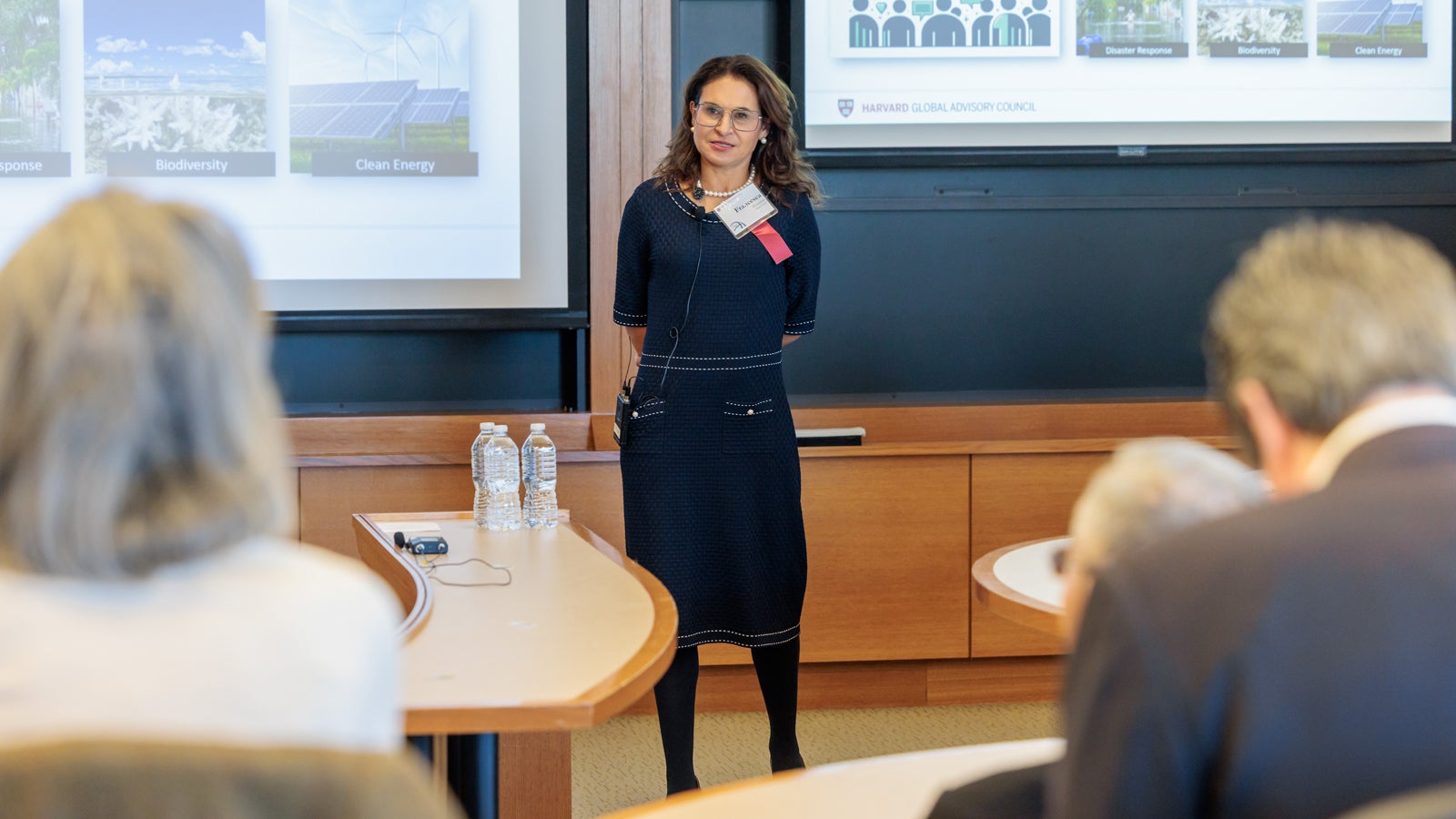 Harvard faculty member Francesca Dominici presenting a TED-style talk at the 2024 Global Advisory Council meeting.