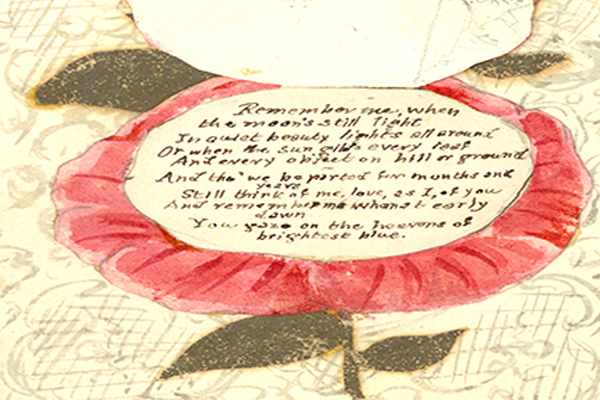 This rose which opens to a poem, is part of a collection of 39 cards. The collection was created between 1850-1860.
