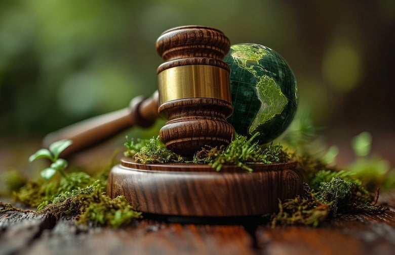 An image of a gavel with a small green globe of the earth next to it and moss growing around it.