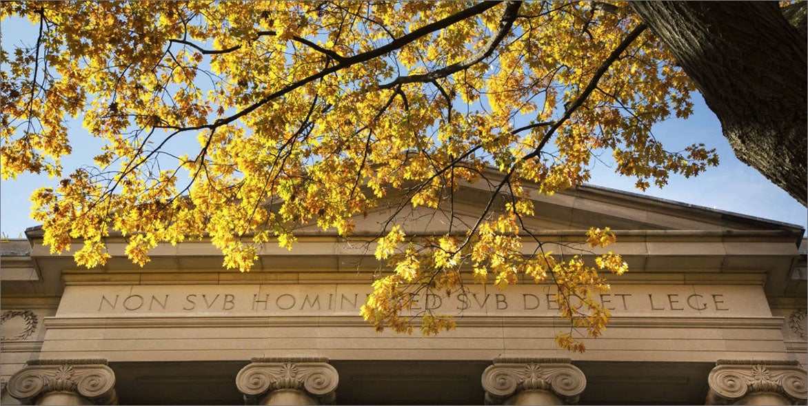 The top of a building framed by autumnal leaves in the foreground