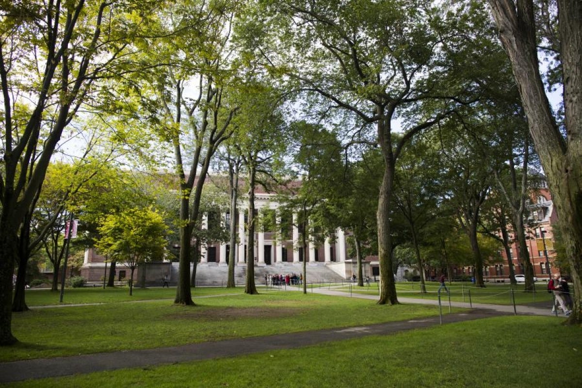 Harvard campus with trees