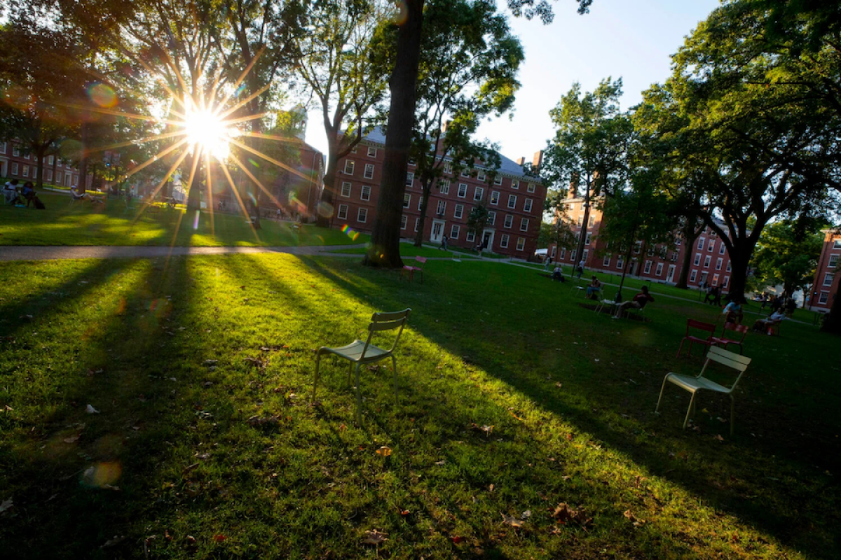 The sun shines over Harvard Yard