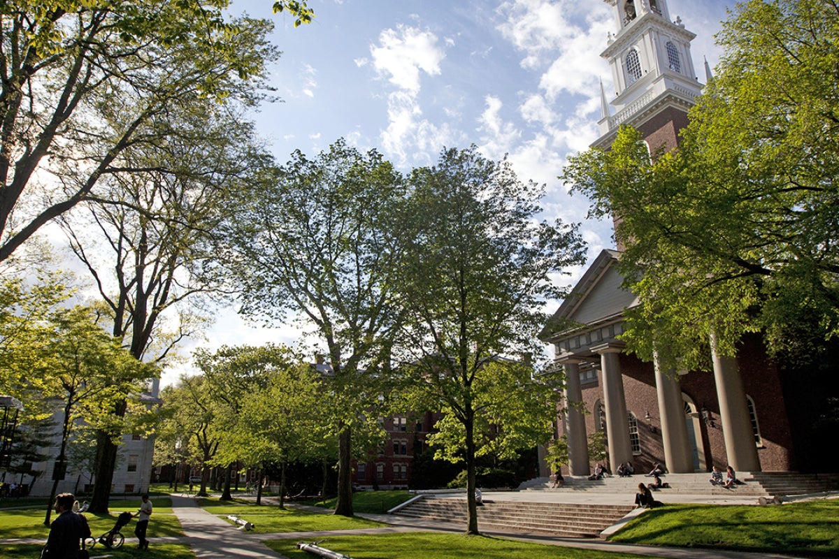 Harvard campus landscape in Harvard Yard