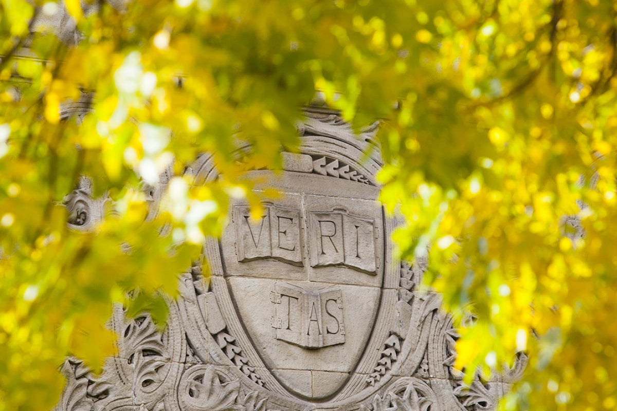 veritas shield in foliage