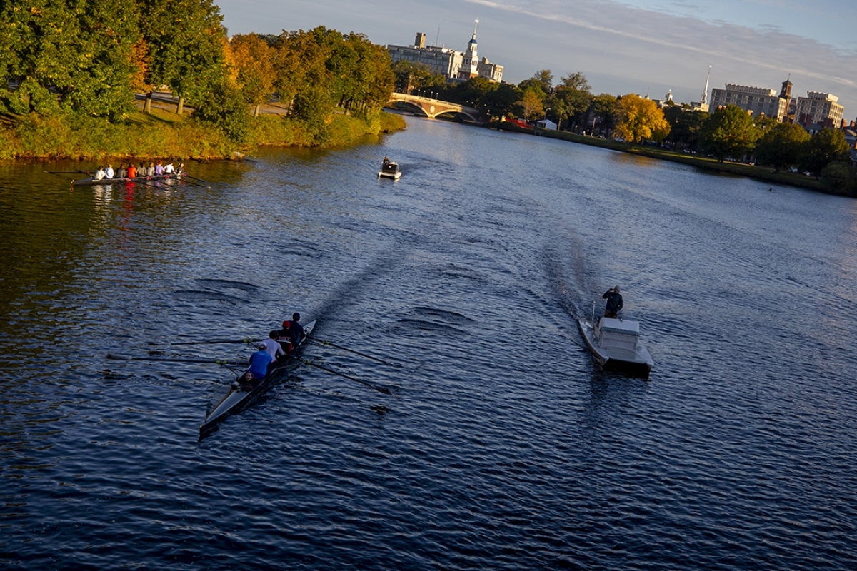 Image of Charles River rowers