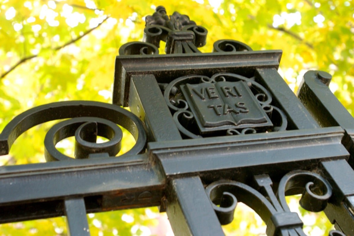 Up close image of a gate in Harvard Yard