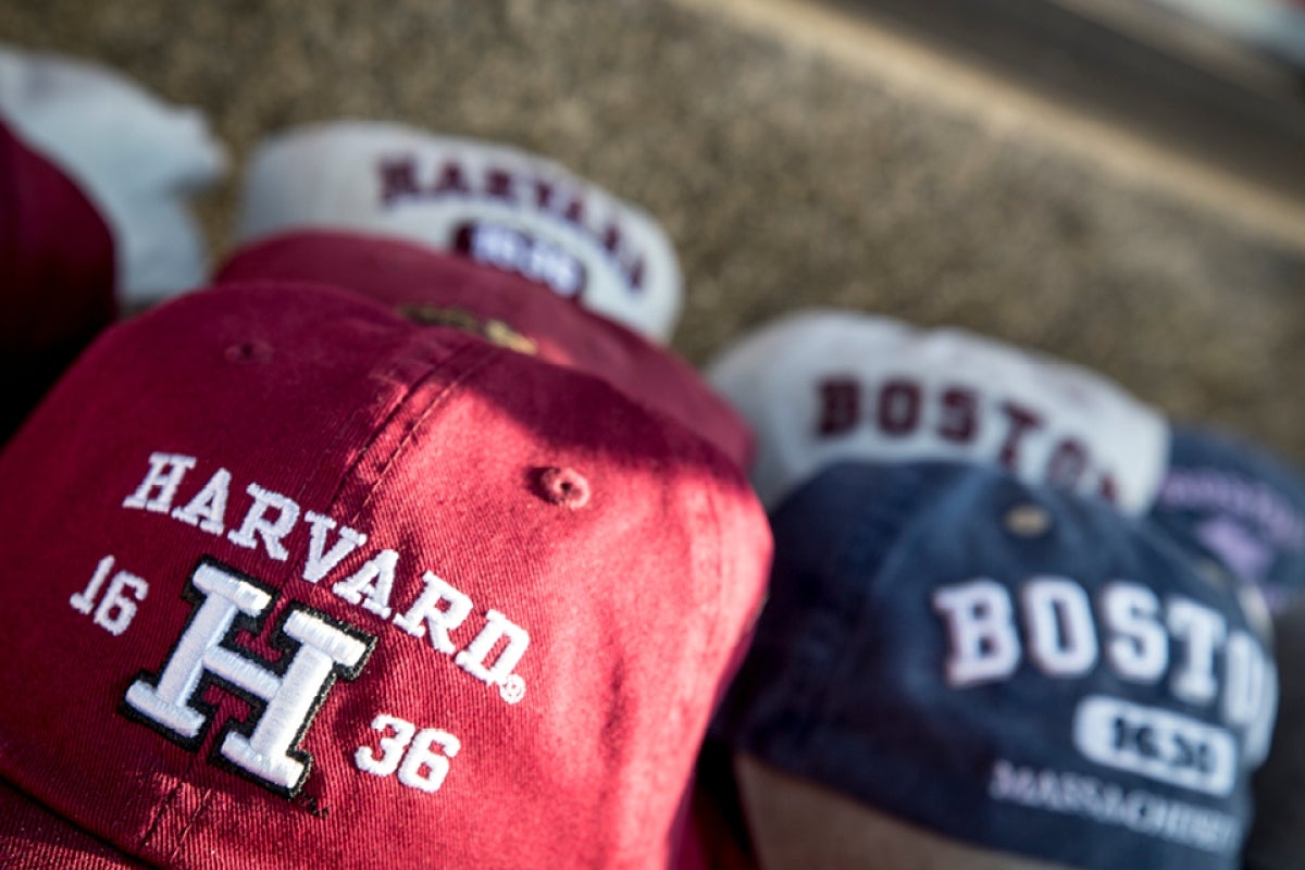 harvard crimson hat