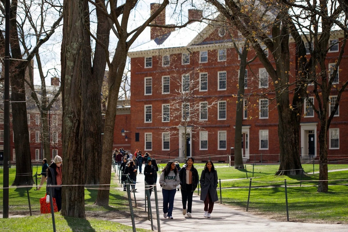 Students walking in Harvard Yard with a brick building behind them