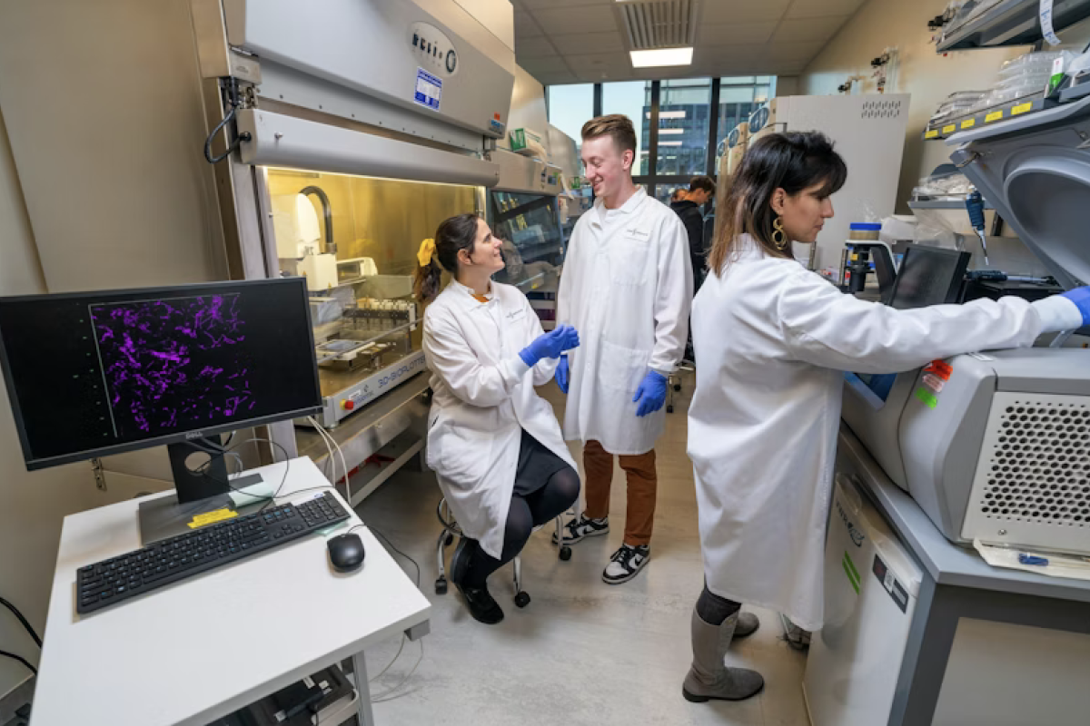Three scientists, wearing white lab coats and blue gloves, work together in a bright laboratory. One woman is sitting and talking to a man standing next to her, both smiling. Another woman operates laboratory equipment on the right.