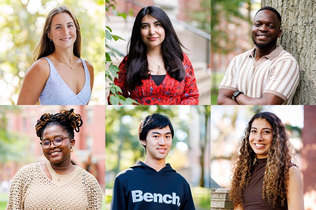 Collage of senior headshots showing Riley Flynn, Sofia Chavez, Bradley Chinhara, Dara Omoloja, Austin Wang, and Myra Bhathena.