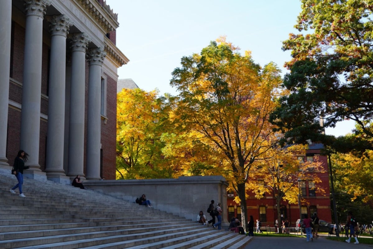 Widener Library steps