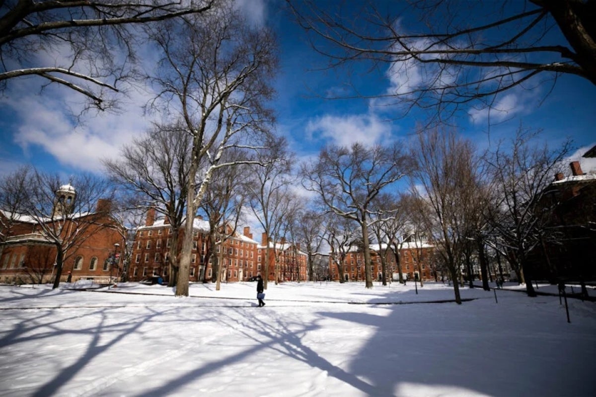 A snowy landscape in Harvard Yard