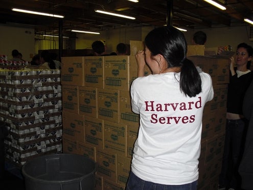 Harvard Serves