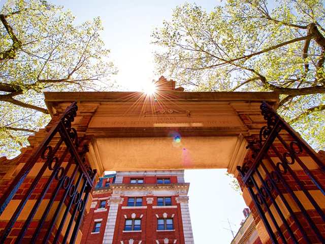 Gate in Harvard Yard on sunny day
