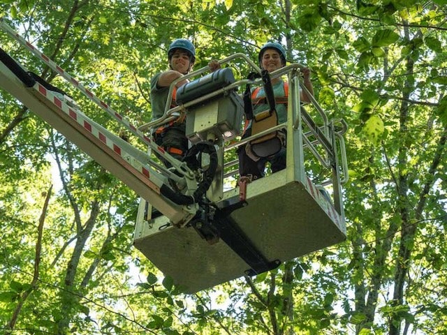 Two people stand in a bucket lift in a forest canopy
