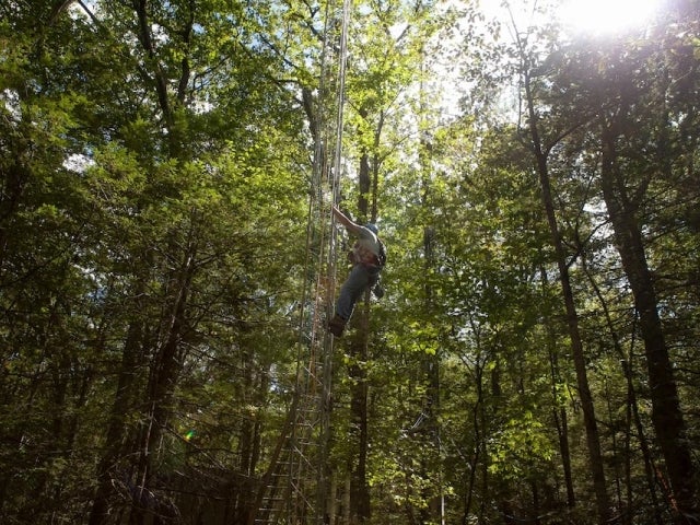 A person climbs an environmental monitoring tower in Harvard Forest