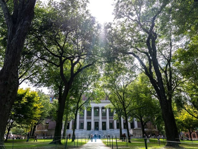 View of Widener Library from Harvard Yard