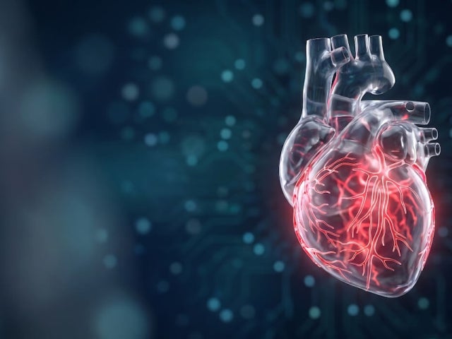 A glowing, translucent anatomical heart with illuminated red blood vessels