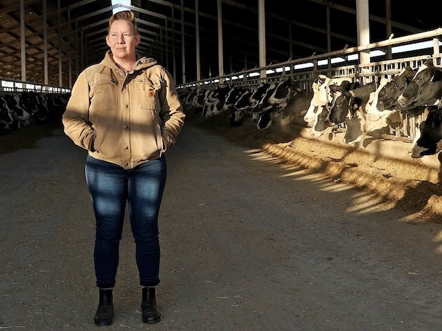 Jordan Kraft Lambert stands in a cow shed surrounded by Holstein cows