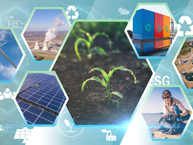 A collage of photos that includes a seedling growing in soil, a wind turbine, a water treatment facility, solar panels, and a woman cleaning plastic off a beach