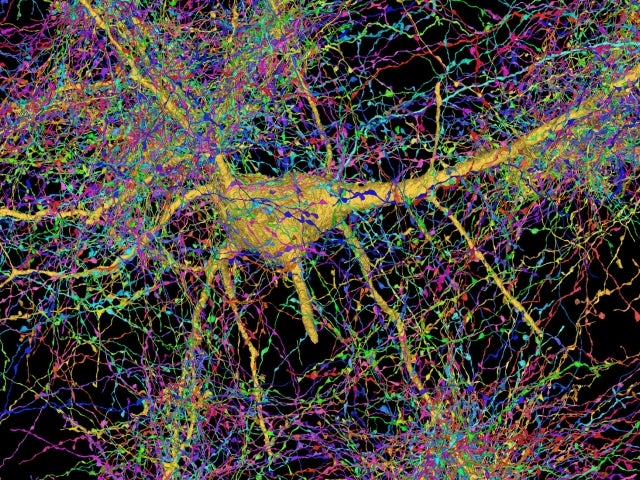 Colorful visualization of a neural network