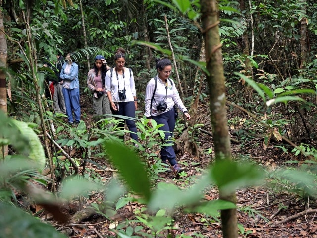 Students walk in a line in the Amazon. 
