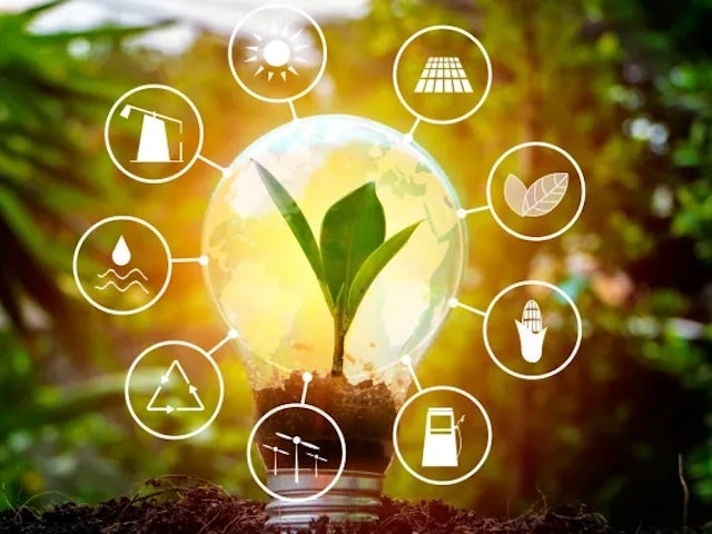 An illuminated light bulb is at the center of the image, filled with soil and a small green plant growing from it. Surrounding the bulb are various icons representing sustainable energy sources and nature, including symbols for the sun, solar panels, water, trees, and agriculture. The background features a blurred natural setting.