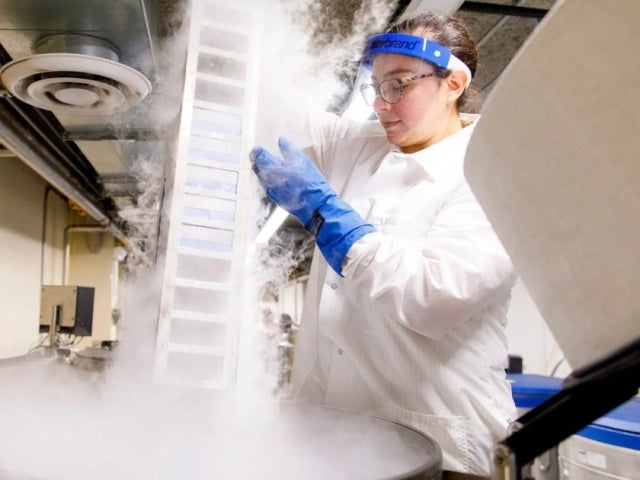 A researcher in a white lab coat and protective gloves lifts a tray from a cryogenic storage container, surrounded by clouds of vapor in a laboratory setting.