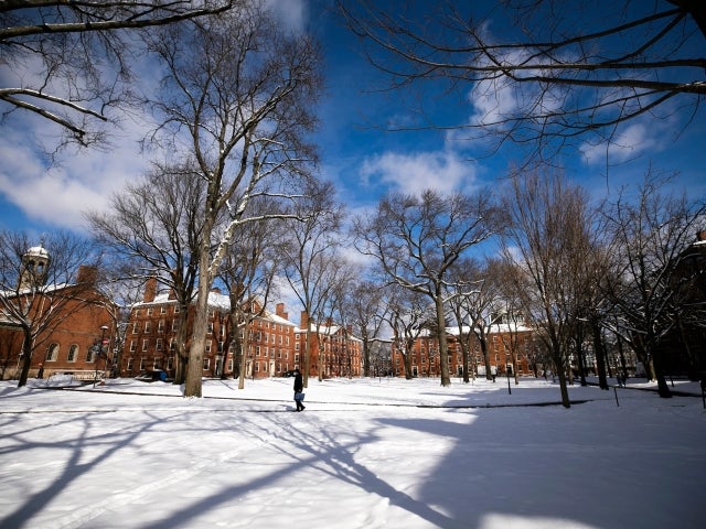 Harvard Yard covered in snow 