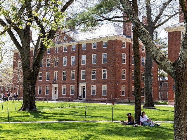 Two people sit on the grass studying beneath large trees in front of red-brick building in Harvard Yard on campus, with other people walking in the background on a sunny day.