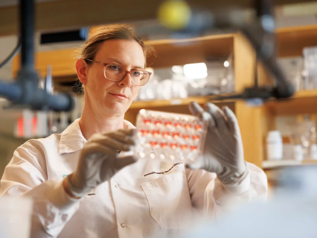 Christiane Wrann in her lab.