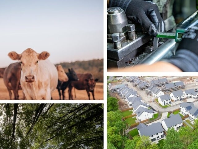 A grid of four photos. Cows are shown in a field; gloved hands are shown working on a car; a housing development is seen from above, surrounded by trees; a forest canopy is seen from below.