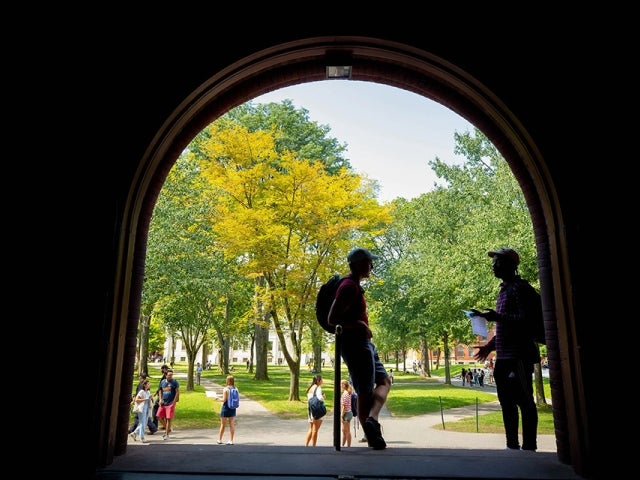 Two students in silhouette talk under an archway overlooking a bright, tree-filled Harvard Yard.