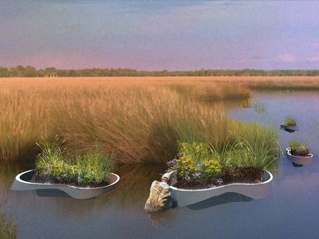 An image of a marsh photoshopped to include a person in waders tending to a group of large white devices that look like planters sitting in the water