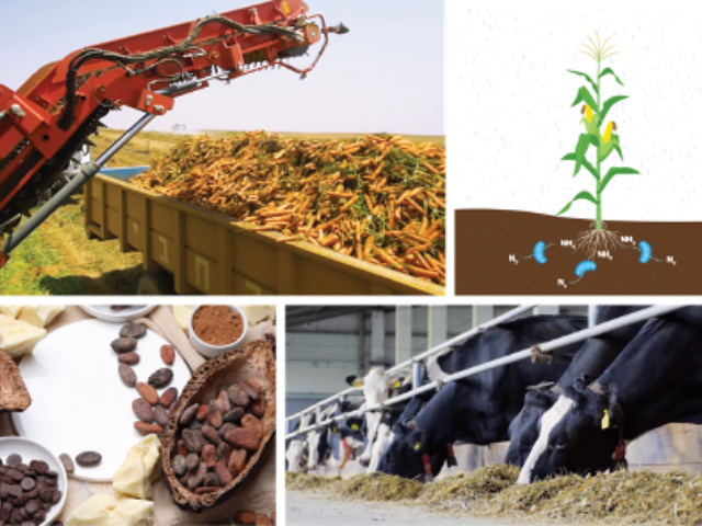 A panel of four images: a harvesting machine next to a truck bed filled with carrots; a graphic depicting a stalk of corn growing from soil containing microbes and the elements ammonia and nitrogen; a table with cocoa butter, cocoa beans, and chocolate chips; and cows in a stockyard eating hay