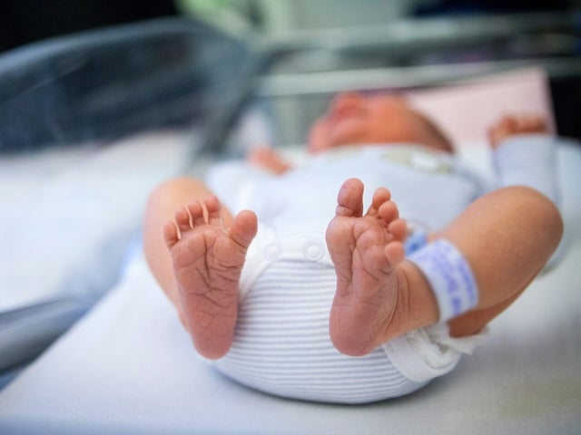 A newborn baby in a hospital bassinet