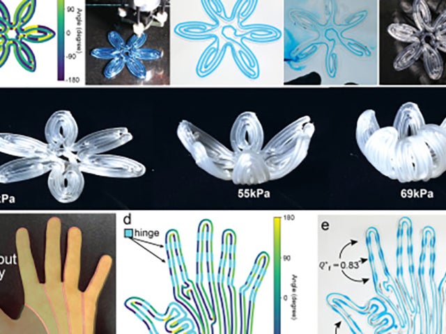Image-based print-path planning for generating complex soft robotic matter