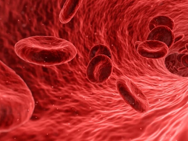 Illustration of red blood cells flowing through a blood vessel