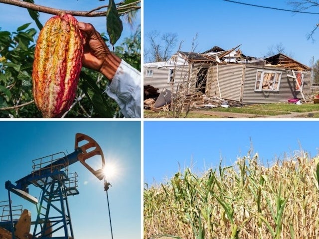 A collage of four images, depicting a hand holding a ripe cacao pod, a damaged mobile home, an oil pumpjack operating under a bright sun, and tall corn plants growing in a field